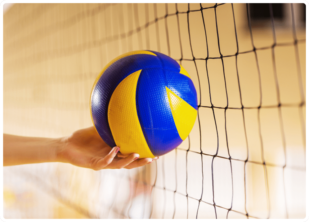 gestionale pallavolo