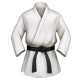 martial-arts-uniform_1f94b
