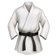 martial-arts-uniform_1f94b
